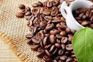 Tín hiệu tích cực từ xuất khẩu cà phê Việt