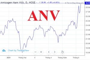 ANV tăng trần, lãnh đạo công ty Nam Việt (Navico) muốn bán bớt 5 triệu cổ phiếu