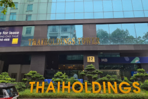 Thaiholdings (THD) sắp phát hành thêm 330 triệu cổ phiếu, tỷ lệ 35:33 với giá chỉ 10.000 đồng