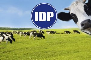 Sữa Quốc tế (IDP) chốt quyền trả cổ tức 2021 tỷ lệ 50% bằng tiền