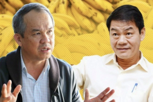 Thaco của tỷ phú Trần Bá Dương bất ngờ dừng kế hoạch đầu tư vào HAGL Agrico
