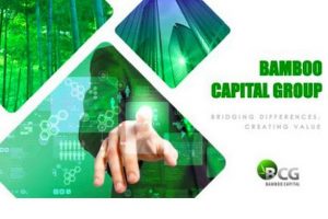 Bamboo Capital (BCG) phát hành thêm cổ phiếu để hoán đổi nợ