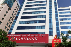 Agribank bán đấu giá nợ xấu của BWG Mai Châu – công ty con của Sao Thái Dương