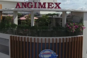 Angimex thay mới hàng loạt lãnh đạo chủ chốt sau khi về tay Louis Holdings