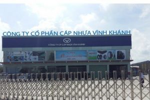 Louis Capital gia tăng sở hữu tại Cáp – Nhựa Vĩnh Khánh (VKC) lên 10,37%