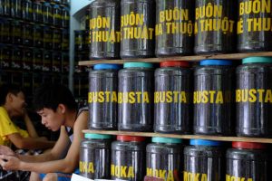 “Lockdown” tại Việt Nam có thể khiến giá cà phê “tương đối cao” cho đến năm 2022