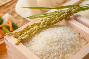 Giá xuất khẩu gạo châu Á dần đi vào ổn định, tình trạng khan hiếm tàu dấy lên lo ngại tại Thái Lan
