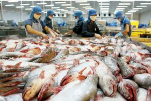 Việt Nam xuất khẩu thủy sản nhiều nhất sang thị trường Mỹ