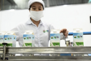 Sữa Mộc Châu: Doanh thu quý III lập kỷ lục, lợi nhuận giảm 7% do giá vốn neo cao