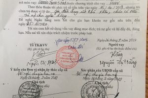 Quỳnh Lưu, tỉnh Nghệ An: Cần làm rõ 5 bộ hồ sơ “khống” xin gia hạn nợ mạo danh… “con nợ”