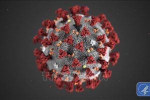 Virus SARS-CoV-2 tồn tại dai dẳng ‘hàng tháng’ trong cơ thể người