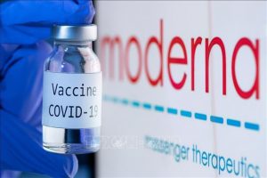 Liều tiêm thứ 3 của vaccine Moderna bằng nửa liều cơ bản