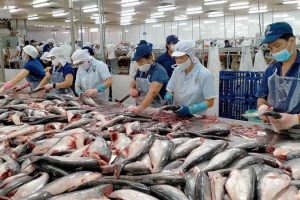 Nhật Bản là thị trường xuất khẩu thủy sản tiềm năng của Việt Nam