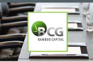 Bamboo Capital (HOSE: BCG) dự kiến chào bán 60 triệu cp giá 20,000 đồng/cp