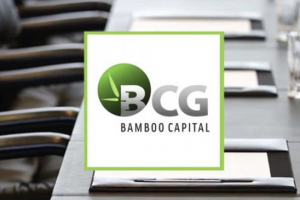 Bamboo Capital (HOSE: BCG) dự kiến chào bán 60 triệu cp giá 20,000 đồng/cp