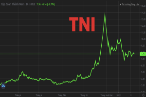Tập đoàn Thành Nam (TNI) nói gì khi cổ phiếu bị đưa vào diện cảnh báo?