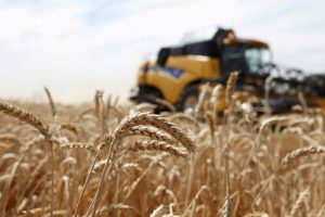 WTO cảnh báo giá lương thực tăng vọt do “khủng hoảng Ukraine”