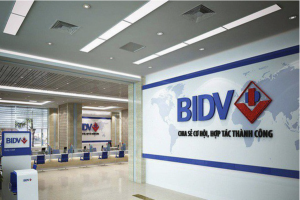 BIDV thông báo bán đấu giá lần 10 khoản nợ của Công ty TNHH Thép Việt Nga