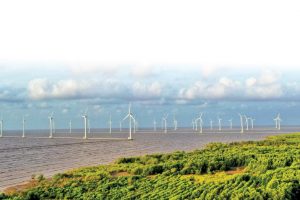 Bình Định: Kỳ vọng trở thành trung tâm năng lượng tái tạo lớn của miền Trung