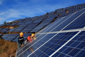 Quảng Ngãi tạm dừng 2 dự án nhà máy điện mặt trời công suất 50 MWp