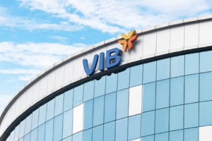 Ngân hàng Quốc tế (VIB) chốt ngày chia cổ phiếu thưởng tỷ lệ 35%
