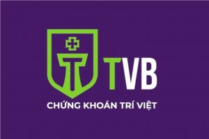 Chứng khoán Trí Việt có tân chủ tịch thay ông Phạm Thanh Tùng