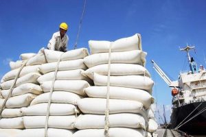 Giá gạo Việt Nam có thể tăng khi vụ thu hoạch Đông Xuân kết thúc