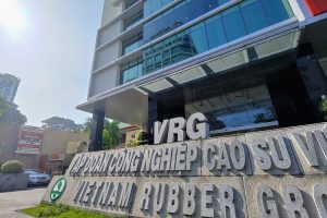 Tập đoàn Cao su (GVR) lãi ròng hơn nghìn tỷ đồng Quý I/2022