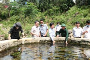 Lâm Đồng: Chấm dứt hoạt động Dự án Khu Du lịch sinh thái suối khoáng nóng Sài Gòn Đam Rông