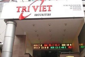 Chứng khoán Trí Việt ế hơn 99% số cổ phiếu chào bán