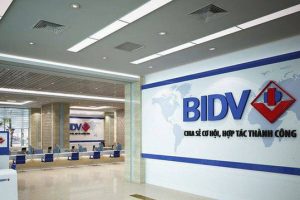 BIDV đấu giá 2 khoản nợ hơn 800 tỷ đồng của Vertical Synergy Viet Nam và Thuỷ điện Tân Thượng
