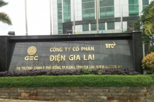 GEG chào bán hơn 30,3 triệu cổ phiếu để góp vốn vào dự án điện gió tại Tiền Giang