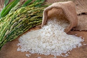 Cổ phiếu ngành gạo được kỳ vọng tạo “sóng lớn”