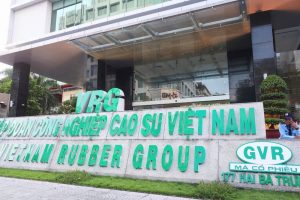 Cao su Việt Nam (GVR) ước lãi hơn 4.400 tỷ đồng sau 9 tháng
