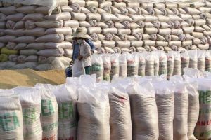 EU công bố thuế nhập khẩu gạo xát, xuất khẩu gạo của Việt Nam có gặp khó?