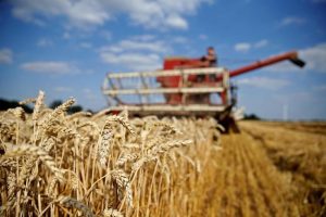 Ukraine và Thổ Nhĩ Kỳ ủng hộ mở rộng ‘Sáng kiến ngũ cốc’