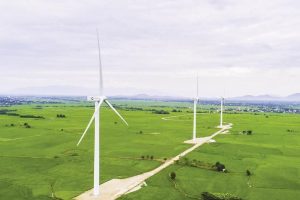 Cần tạo cơ chế đầu tư phát triển điện gió bền vững