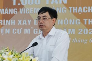 Bắt giam Chủ tịch HĐQT Công ty xi măng Vicem Hoàng Thạch