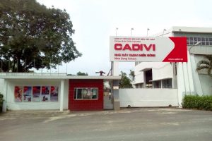 Muốn “ôm nốt” 4% cổ phần Cadivi, Gelex phải chào mua công khai