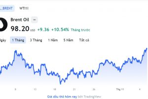 Giá xăng dầu hôm nay 5/11: Cập nhật giá xăng dầu trong nước, quốc tế