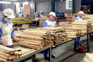 Vướng mắc xác minh nguồn gốc gỗ để hoàn thuế, nhiều doanh nghiệp gặp khó