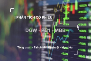 Cổ phiếu khuyến nghị hôm nay (13/1): DGW, PC1 và MBB