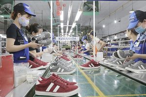 Xuất khẩu da giày 2023: Kỳ vọng khu vực FTA