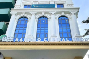 Bamboo Capital (BCG) huỷ việc rót thêm vốn cho Bảo Hiểm AAA
