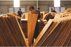 Mỹ lùi thời hạn kết luận lẩn tránh thuế chống bán phá giá gỗ dán từ Việt Nam