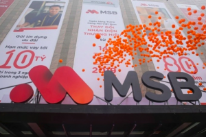 MSB dự kiến sáp nhập một ngân hàng TMCP, không có kế hoạch chia cổ tức năm 2022
