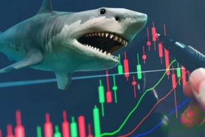‘Cá mập’ Pyn Elite Fund và các dự báo sốc về thị trường chứng khoán Việt Nam