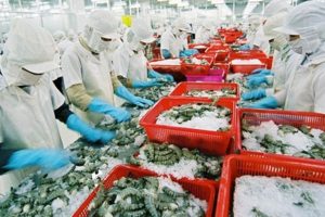 Xuất khẩu tôm sang Hàn Quốc gặp khó, VASEP kiến nghị Bộ Công Thương giúp đỡ
