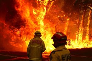 Australia: Huấn luyện chữa cháy bằng thực tế ảo