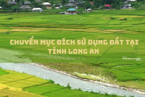 Tỉnh Long An được chấp thuận chuyển mục đích sử dụng đất trồng lúa để thực hiện dự án khu dân cư biệt thự nhà vườn